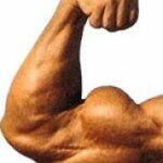 biceps1
